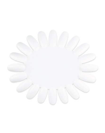 Дисплей Daisy белый на 20 цветов